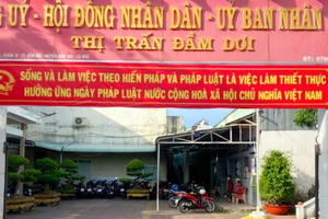 Cà Mau hưởng ứng Ngày Pháp luật thiết thực, không phô trương, hình thức