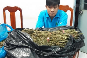 Phát hiện đối tượng vận chuyển gần 11 kg thảo mộc nghi vấn cần sa