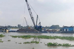 T-S.Home đã bỏ cọc vụ trúng đấu giá mỏ cát hơn 2.800 tỷ đồng ở An Giang