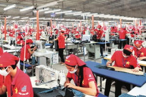 Doanh nghiệp Việt và tinh thần “nội sinh bất diệt” Doanh nghiệp Việt và tinh thần “nội sinh bất diệt”