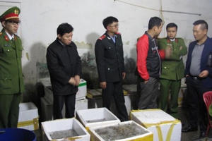 Tôm chết được bơm tạp chất tuồn lên 'bàn nhậu'