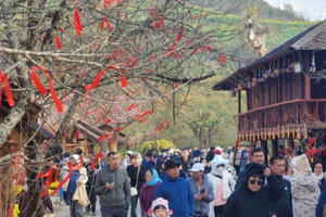 Sa Pa thu trên 387 tỷ đồng trong kỳ nghỉ tết Nguyên đán Giáp Thìn 2024