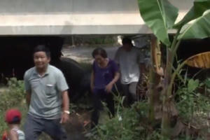 Đồng Tháp: Dân kêu trời vì không có đường dân sinh lên cầu