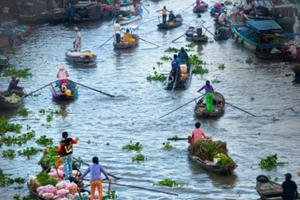 Chính phủ ban hành Chương trình hành động phát triển kinh tế - xã hội vùng đồng bằng sông Cửu Long