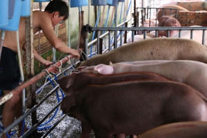 Lòng tham khiến người ta bất chấp tất cả Lòng tham khiến người ta bất chấp tất cả