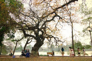 Dự báo thời tiết hôm nay 20/2: Nền nhiệt độ tại Bắc Bộ tăng dần