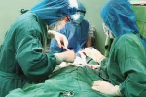 Bé trai 2 tuổi bị chó tấn công cắn nát vùng đầu, mặt