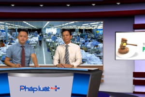 Các tranh chấp thường gặp về lao động