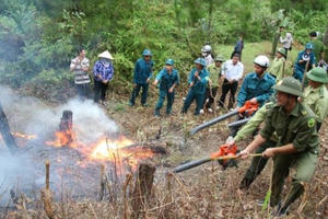 Thanh Hoá: Chủ động phòng chống cháy rừng trong mùa nắng nóng