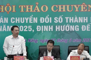 Đà Nẵng tổ chức Hội thảo Chuyên gia về Đề án Chuyển đổi số