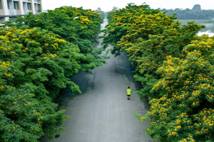 Ngồi nơi cửa nhà, nghĩ về hạnh phúc Ngồi nơi cửa nhà, nghĩ về hạnh phúc