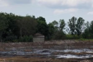 Doanh nghiệp sản xuất bột mì ở Nhơn Trạch xả thải ra môi trường