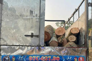 Phát hiện xe ô tô vận chuyển gỗ trái phép tại Bắc Kạn