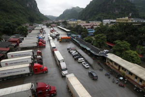 Trung Quốc đột ngột áp dụng mẫu C/O form mới, hàng nhập ùn ứ tại cửa khẩu