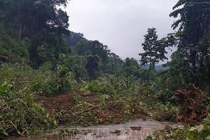 Phó Thủ tướng yêu cầu kiểm tra, khắc phục sự cố công trình thủy điện Đắk Kar, Đắk Sin 1