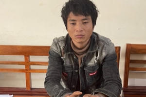 Trộm cả thanh giằng trên cột điện cao thế để bán lấy tiền mua ma túy