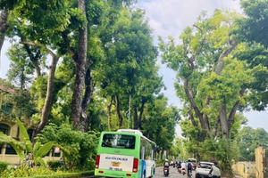 Hà Nội lên kế hoạch trồng mới 500.000 cây xanh đô thị Hà Nội lên kế hoạch trồng mới 500.000 cây xanh đô thị