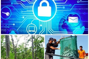 10 Luật có hiệu lực thi hành từ 1/1/2019