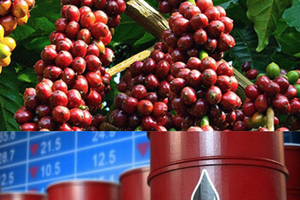 Thị trường hàng hóa rung lắc trong phiên giao dịch đầu tháng 5