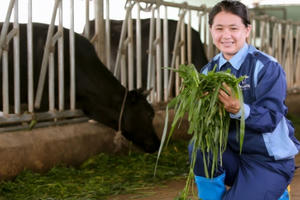 Rời công sở, về quê nuôi bò thu nhập gần chục tỷ đồng mỗi năm