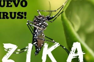 54 quốc gia và vùng lãnh thổ ghi nhận có virut Zika 54 quốc gia và vùng lãnh thổ ghi nhận có virut Zika