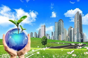 Thành lập Hội đồng quốc gia về phát triển bền vững