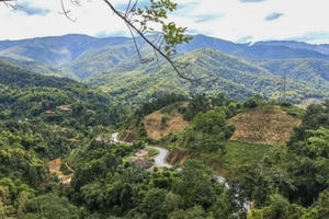 Sắc màu ấm no trên đỉnh đèo Pha Đin