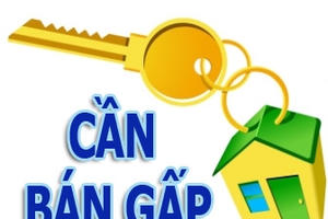 Bán nhà kiểu mới như CenHomes sẽ mở ‘nút thắt’ của thị trường