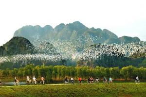 Dự thảo Luật Đất đai sửa đổi: Cần có quy định riêng về đất di tích, di sản