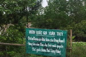 Vụ phụ huynh và học sinh bị nước cuốn tử vong: Tạm dừng hoạt động Vườn quốc gia Xuân Thủy