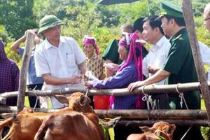 Phó Thủ tướng Vũ Đức Đam chủ trì họp Ban Chỉ đạo giảm nghèo bền vững