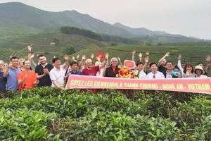 Du khách châu Âu thích thú với khung cảnh đảo chè Thanh Chương