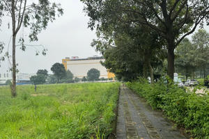 Đồng Nai lập Tổ kiểm tra hai dự án liên quan đến đất đai tại phường Long Bình