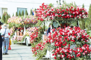 Họp thống nhất nội dung Kế hoạch tổ chức Lễ hội Năm Mùa thị xã Sa Pa năm 2024