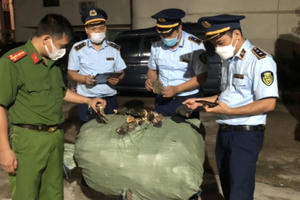 Hà Nội: Thu giữ 7 tấn thực phẩm nhập lậu khi trên đường đi tiêu thụ