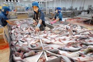 Nhiều doanh nghiệp báo lỗ trăm tỷ