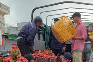 Giá vải thiều Bắc Giang lên tới 85.000 đồng/kg, cao nhất mọi thời đại