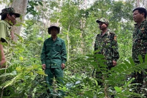 Đắk Lắk: Nhiều cán bộ Kiểm lâm xin xuống chức, xin nghỉ việc, nghỉ hưu sớm