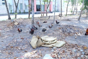 Đột kích sòng bạc ngày Tết, bắt 27 đối tượng, thu giữ hàng trăm triệu đồng