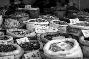 Giàu tìm thầy thuốc, nghèo tìm… thầy lang