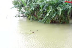 Công an Quảng Bình tiếp cận, hỗ trợ người dân vùng lũ