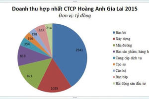 Bầu Đức lần đầu tiên báo lỗ hơn 550 tỷ