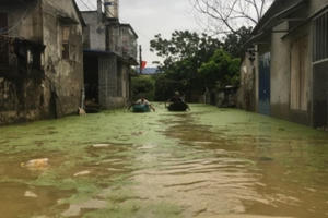 Ngoại thành Hà Nội ngập úng: Dân 'khát' nước sạch