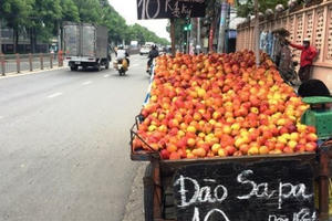 Đào, nho, mận "ngoại" gắn mác Việt bán tràn ngập thị trường
