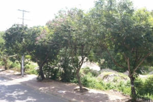 Bà Rịa – Vũng Tàu: Ba đời đi tìm công lý