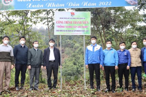 Nghệ An: Trồng 10.000 cây lim xanh hưởng ứng Tết trồng cây "Đời đời nhớ ơn Bác Hồ"