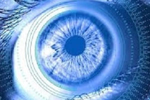 Võng mạc có thể tự "tái lập trình" tùy theo điều kiện ánh sáng