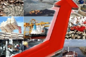 Thua trên sân nhà