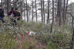 Sơn La: Phát hiện một thi thể nam thanh niên tử vong ở bãi cỏ trong rừng