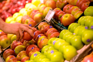 Hà Nội tăng cường kiểm tra an toàn thực phẩm OCOP, hàng đông lạnh và trái cây nhập khẩu